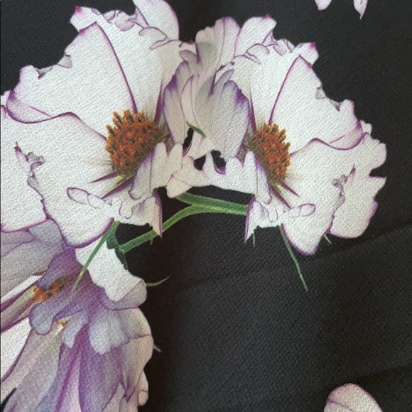 Size 2 Fame and Partners dress - Picture 4 of 4